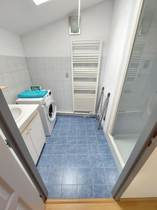 Appartement Chaleureux Remiremont Zewnętrze zdjęcie